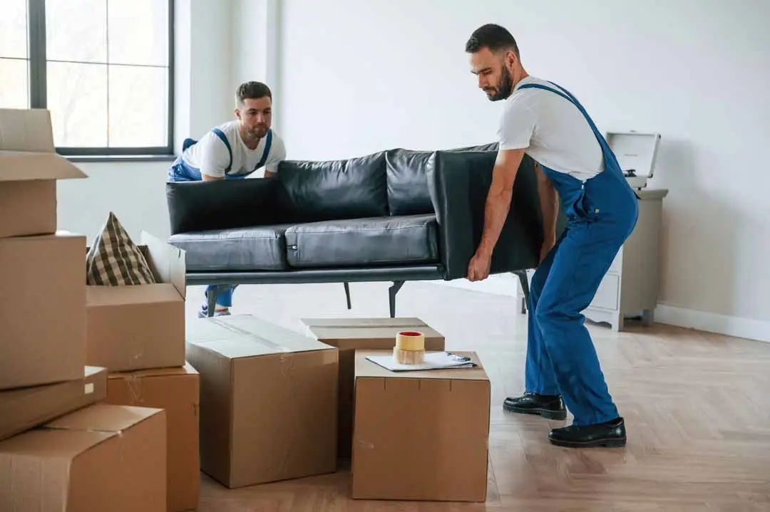 Piano Moves in Enfield